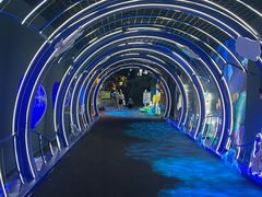 -江和美海洋公园