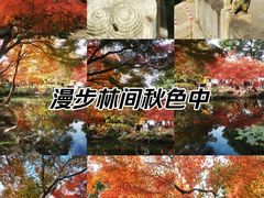 -秋霞圃