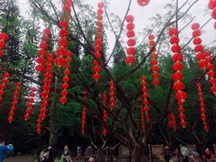 -金山植物公园