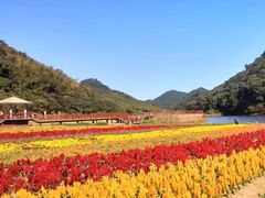 -广州市石门国家森林公园