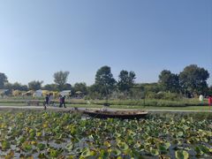 -天津东丽湖风景区