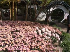 -汇龙潭