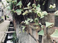 景点-前童古镇