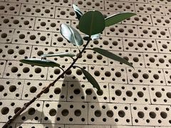 -鹿港小镇(霄云店)