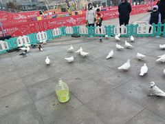 -大族广场Mall&More