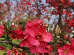 -眉山湿地公园(东坡区)