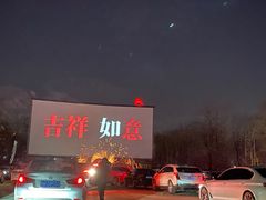 -枫花园汽车电影院(朝阳公园店)
