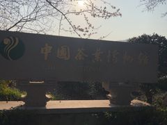 -中国茶叶博物馆(双峰馆区)