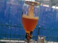 -马迭尔德式西餐精酿啤酒屋(中央大街店)