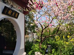 -南汇桃花村