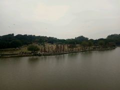 -东莞植物园