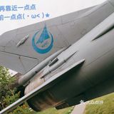 给我最爱的威龙打call