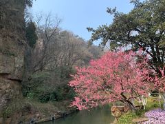 -狼山风景名胜区