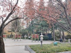 -兰岛广场(白沙路店)