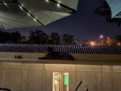 -Sirena海妖日咖夜酒