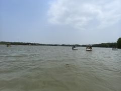 -上海海湾国家森林公园