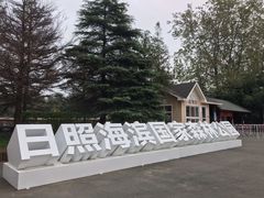 -日照海滨国家森林公园