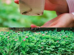 -沐仙湖湿地公园