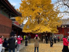 -承恩寺