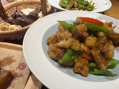 -鸽子窝(黄村店)