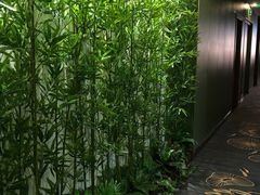 -尊足养生·影院足道·主题spa·采耳(浦江店)