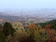 -泰山风景名胜区-普照寺