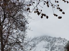 -焦大头牛肉小饭(南关店)