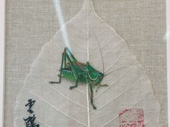 -中环花鸟鱼虫市场