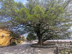 -江心屿景区