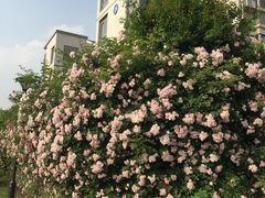 -江南大学(蠡湖校区)