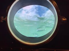-星辰9号幻影会