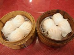 -高第街56号餐厅(宝龙店)