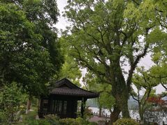 -杭州西湖柳莺里酒店·闻莺厅