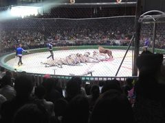 -西安秦岭野生动物园