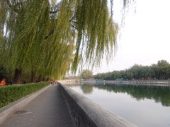 -东华门大街小区