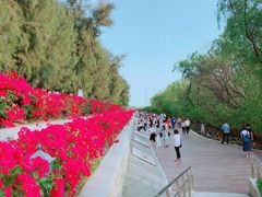 -宝安西湾红树林湿地公园