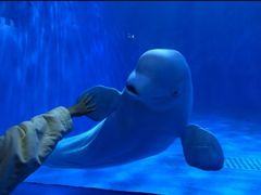 -多彩贵州城极地海洋世界