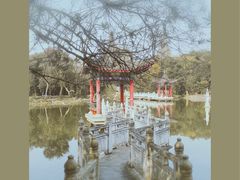 -青龙山国家森林公园
