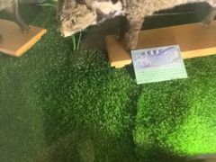 -下渚湖国家湿地公园科普馆