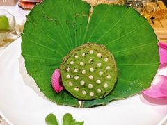 -叶叶菩提(太原别墅店)