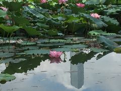 -白塘生态植物园