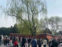 -东华门大街小区