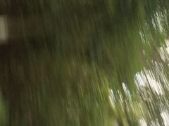 -上海美帆帆船露营基地