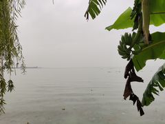 -呈贡滇池生态湿地公园