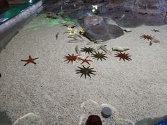 -福州罗源湾海洋世界旅游区