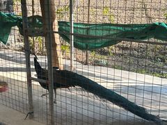 -新塘水果乐园(东洲大道店)