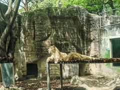 -成都动物园