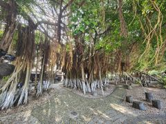 -胡里山炮台