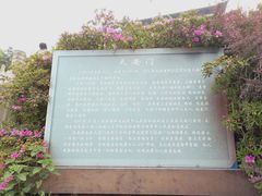 -华西村