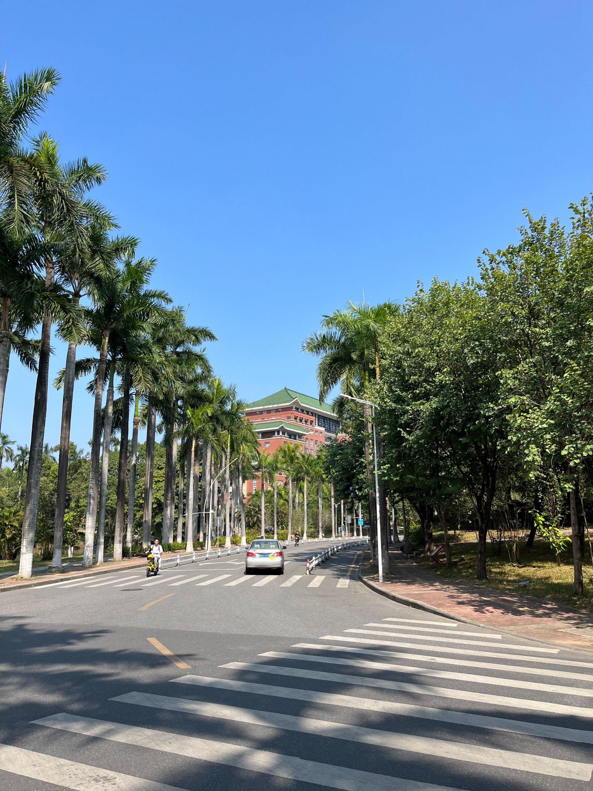 华南农业大学